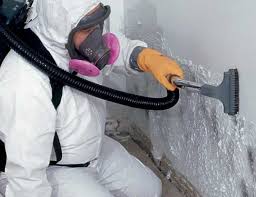 Mold Remediation for Vacation Homes in Los Altos, CA